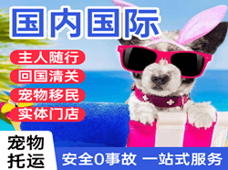 西宁曹家堡国际宠物托运 【国